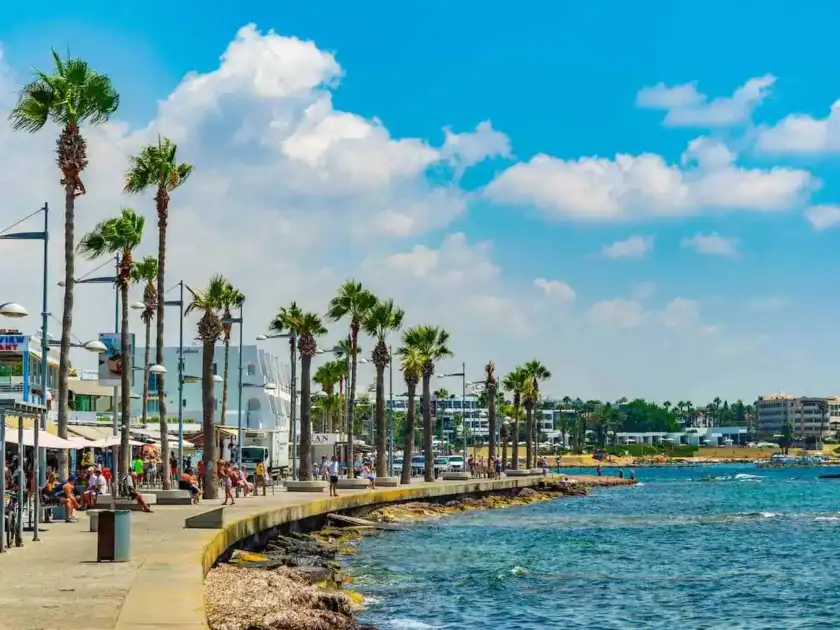 Palm-lined waterfront and Mediterranean Sea at Paphos harbour, Cyprus