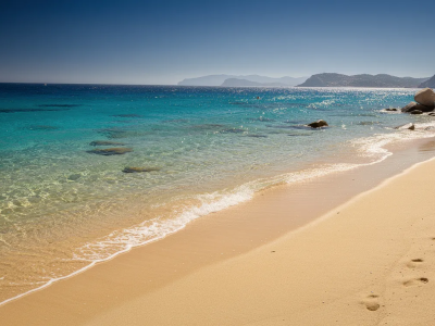 2e2a74a5-ee6c-40e7-9e03-b77f9e06d205